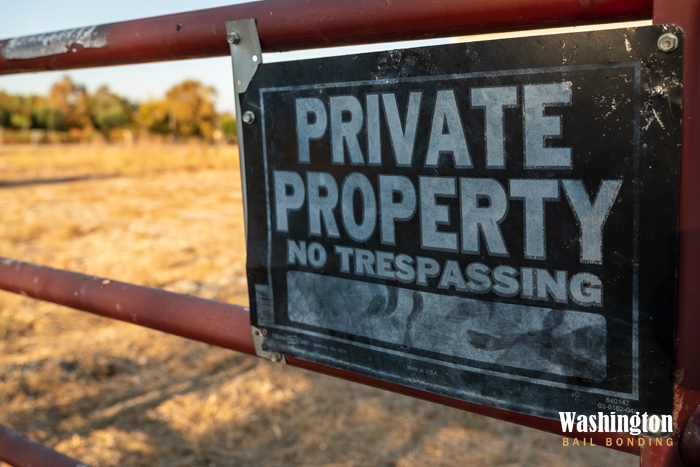 washington-bail-bonds